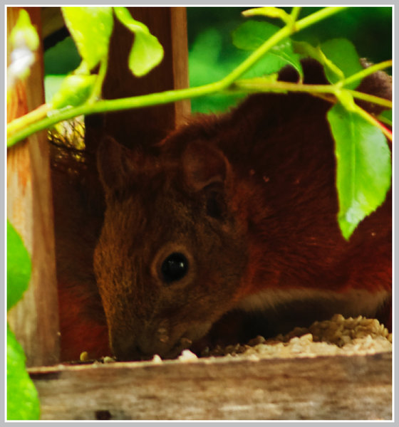 _small__IGP5165_3_DxO.JPG