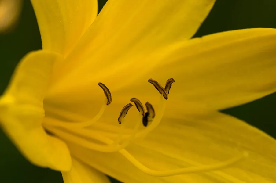 IMGP6400.webp