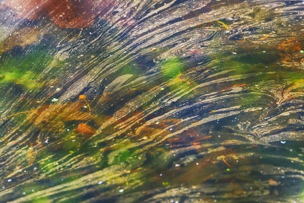 TeichoberflächeabstraktCL90280FINMANBE#2FINDENOISE_720x480.jpg