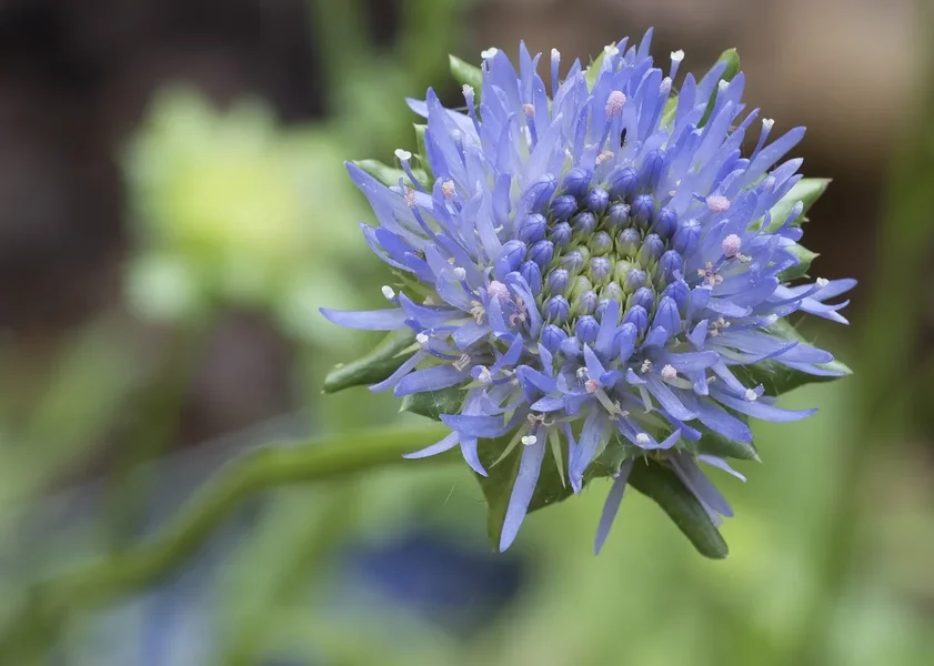 2019 GartenP6196893.webp