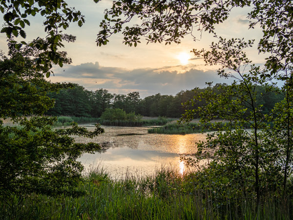 Prerow 2019_040 HDR.jpg