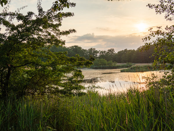 Prerow 2019_046 HDR.jpg