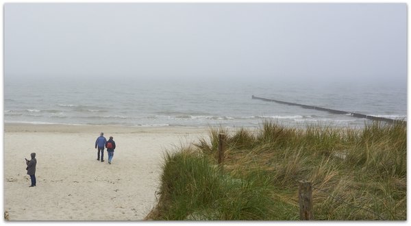 comp_zingst_strand_01.jpg comp_zingst_strand_01.jpg