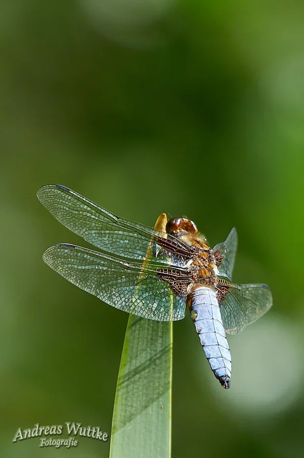 AK3_2792_C1.webp