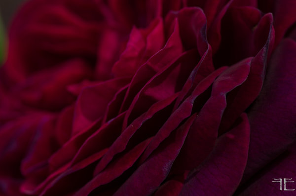 20190625-_IGP5734.jpg 20190625-_IGP5734.jpg