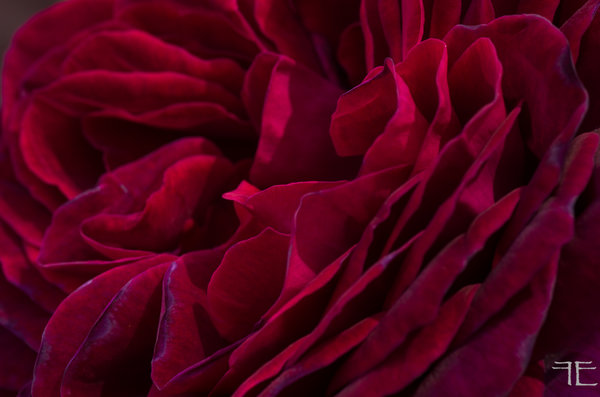 20190625-_IGP5737.jpg 20190625-_IGP5737.jpg