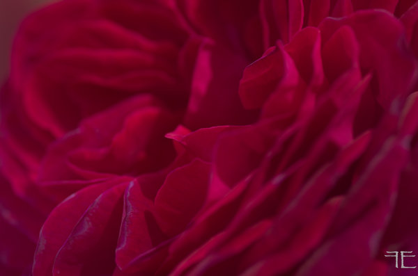 20190625-_IGP5739.jpg 20190625-_IGP5739.jpg