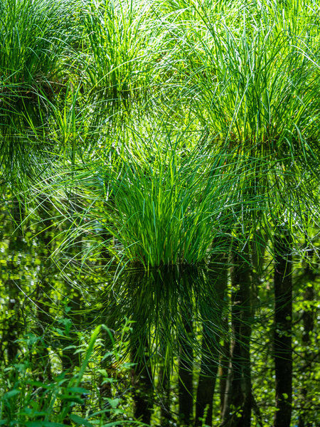 Prerow 2019_339 HDR.jpg