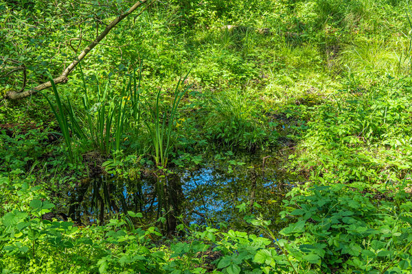 Prerow 2019_488 HDR.jpg