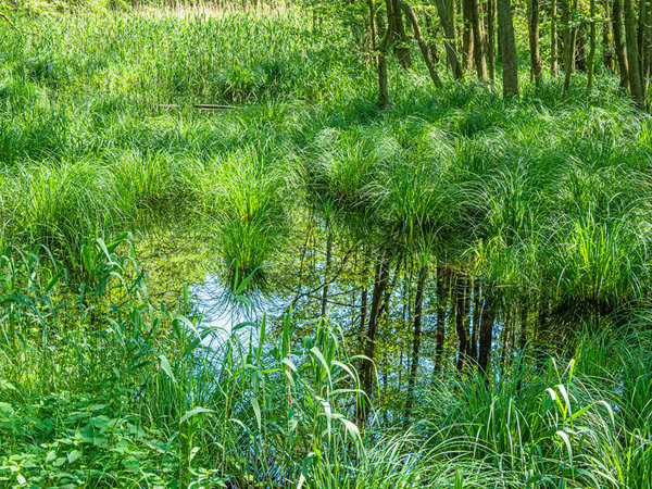 Prerow 2019_501 HDR.jpg