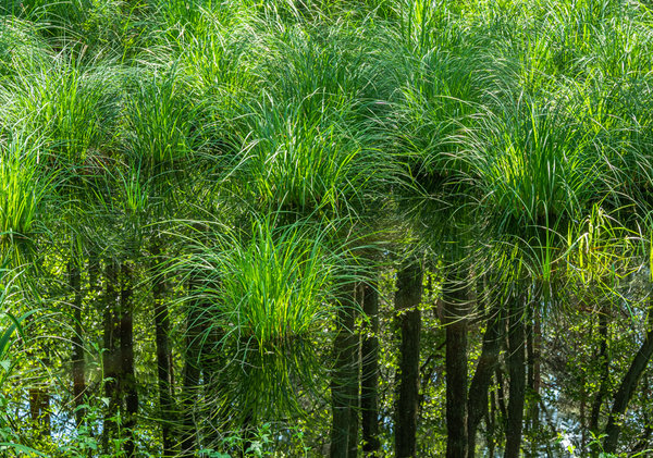 Prerow 2019_504 HDR.jpg