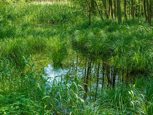 Prerow 2019_501_2 HDR.jpg