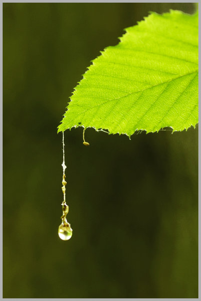 _small__IGP1784_2_DxO.JPG