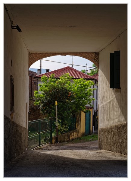 _small__IMG9240.JPG