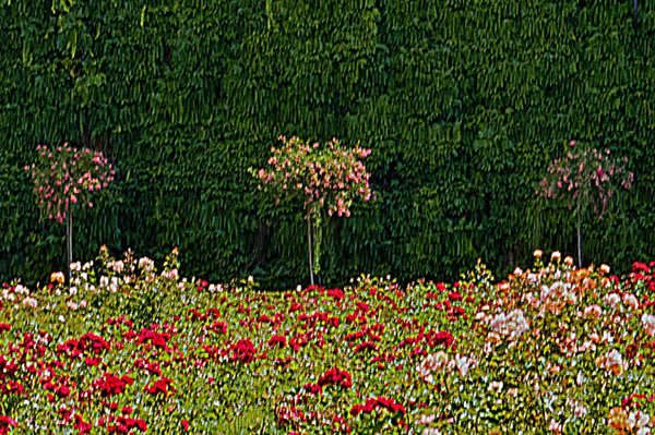 MirabellRosengarten,Bäumen1856#1CLFINFINFINMANBEFINENDVERSIONDUNKEL_720x479.jpg