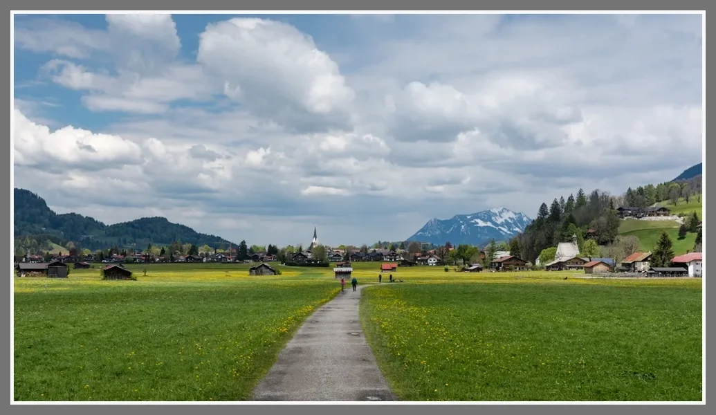 15.jpg 15.jpg