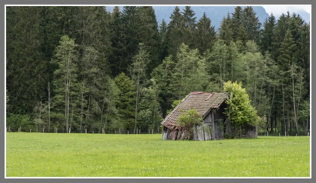 17.webp