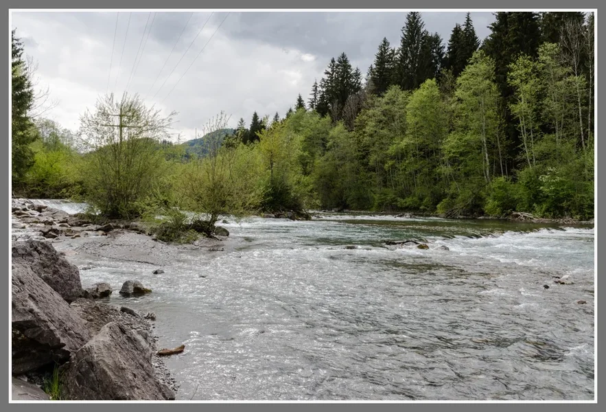 19.webp