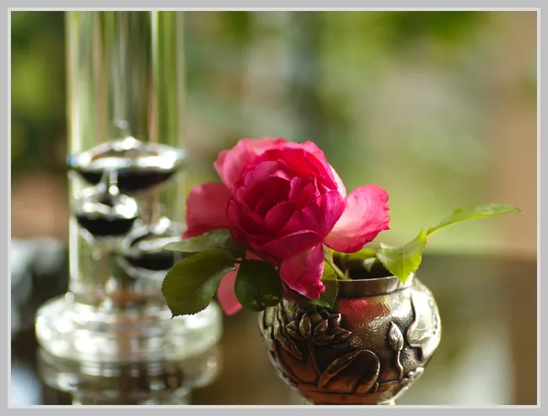 _small__IMG0008_DxO.webp