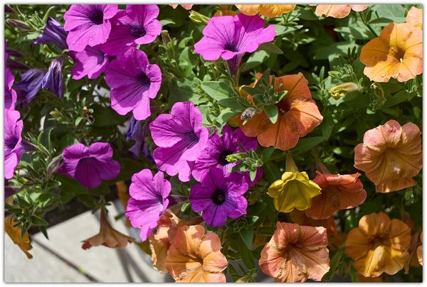 comp_pentacon2,8-28_test02_f5,6.jpg comp_pentacon2,8-28_test02_f5,6.jpg