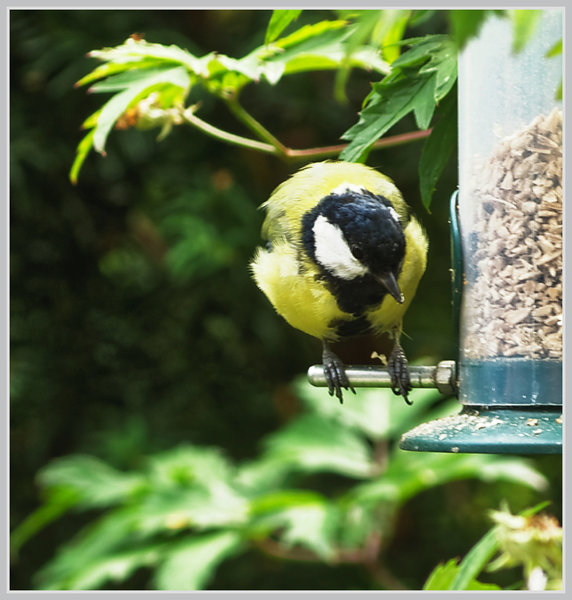 _small__IMG0044_2_DxO.JPG