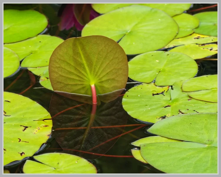_small__IMG0145_2_DxO.webp