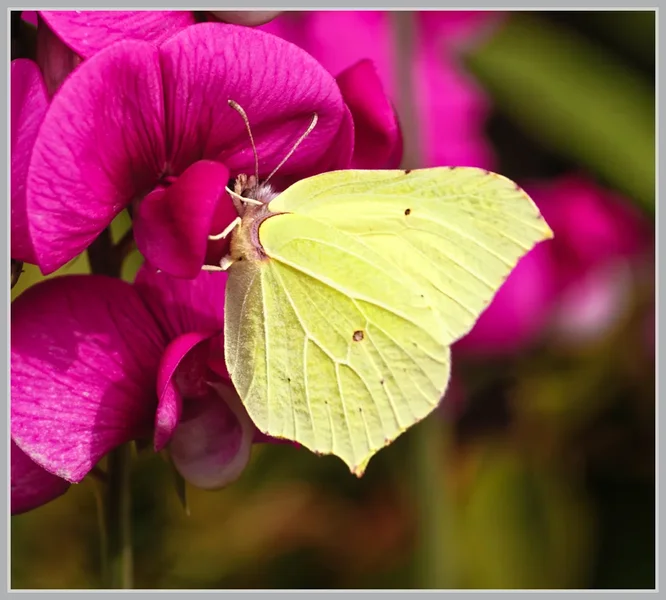 _small__IMG0158_2_DxO.webp