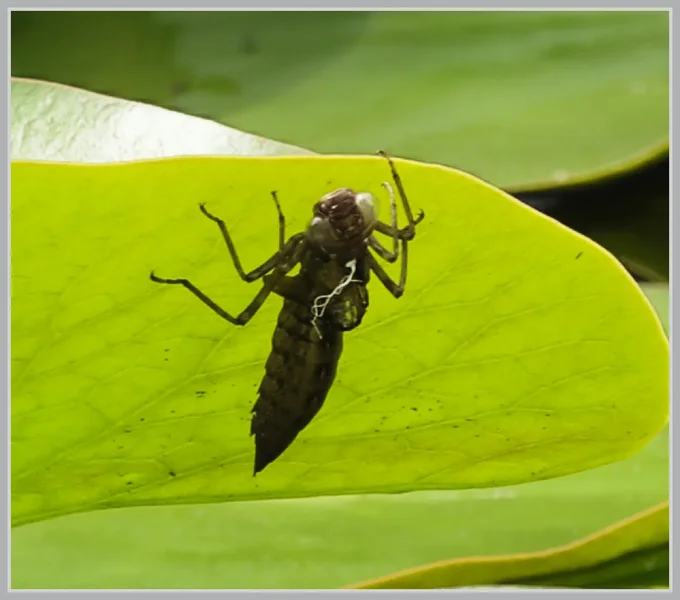 _small__IMG0164_2_DxO.webp