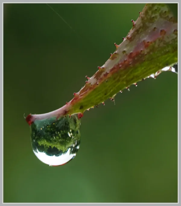 _small__IMG0170_2_DxO.webp