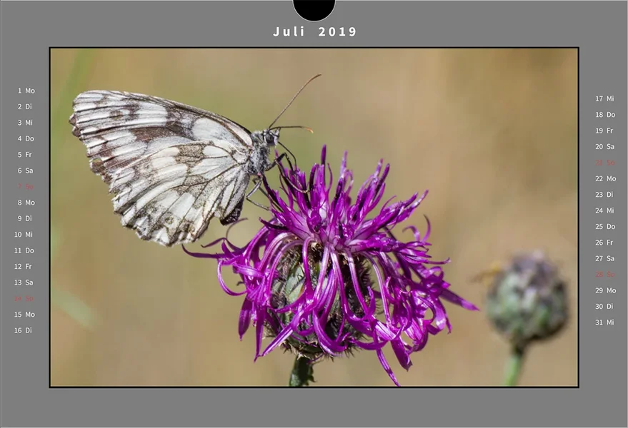 07 Kalender Natur.webp