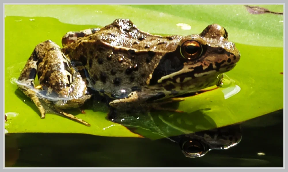 _small__IMG0174_2_DxO.webp