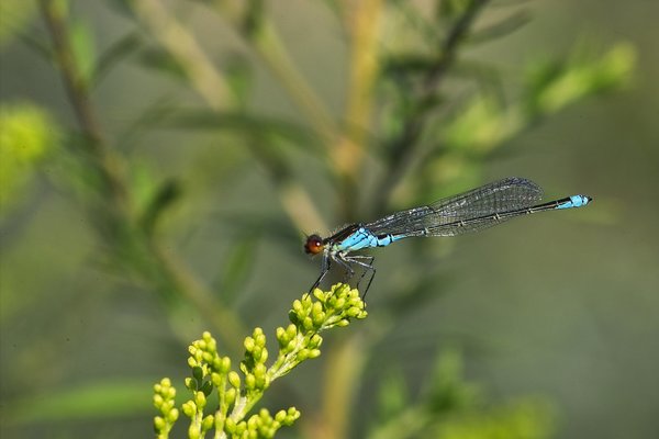 IMG10908-a.jpg