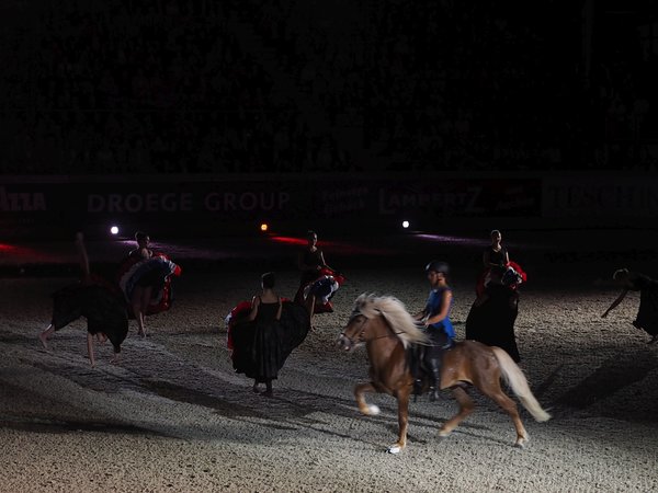 Pferd und Symphonie 4.jpg