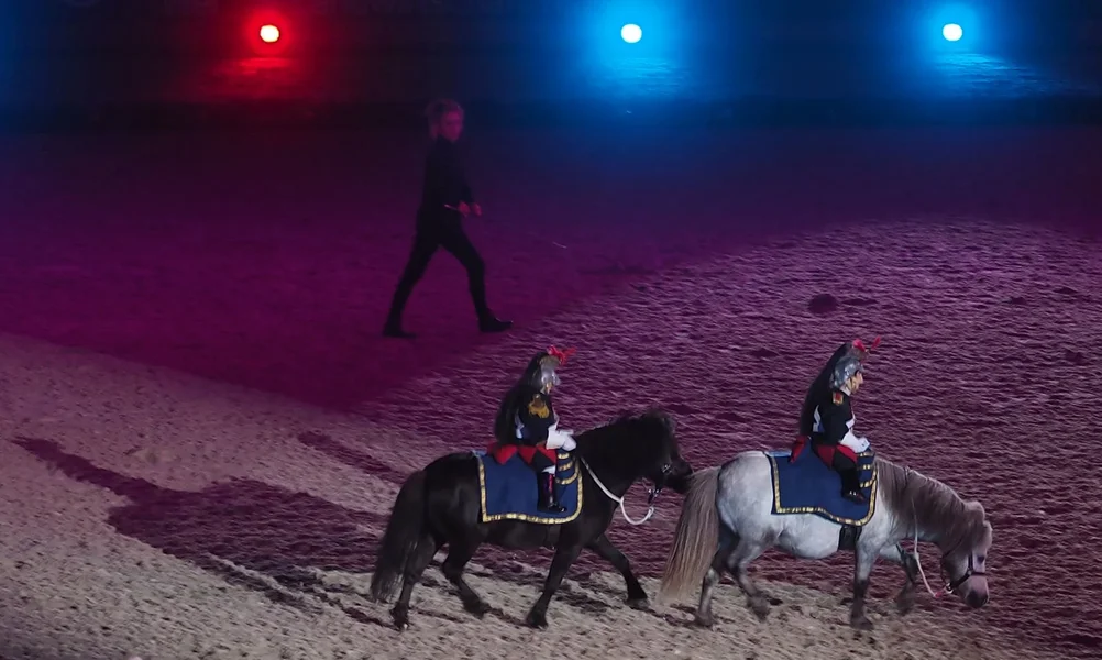 Pferd und Symphonie 5.jpg