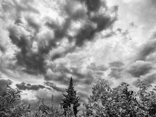Garten August 19_012 HDR.jpg