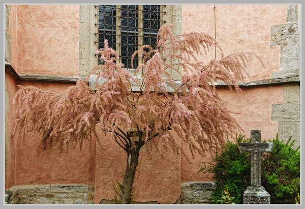 _small__IGP4641_2_DxO 2.JPG