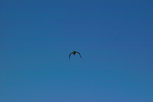 IMG08676.jpg IMG08676.jpg