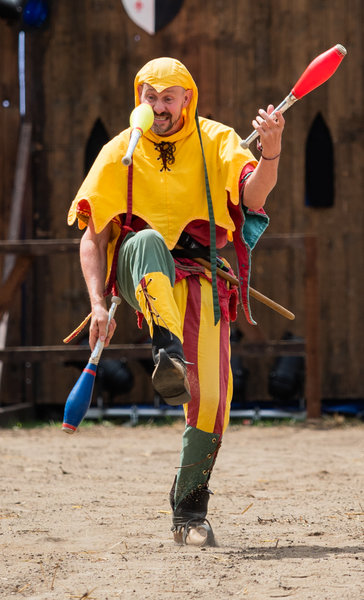 Ritterfest 19_003.jpg