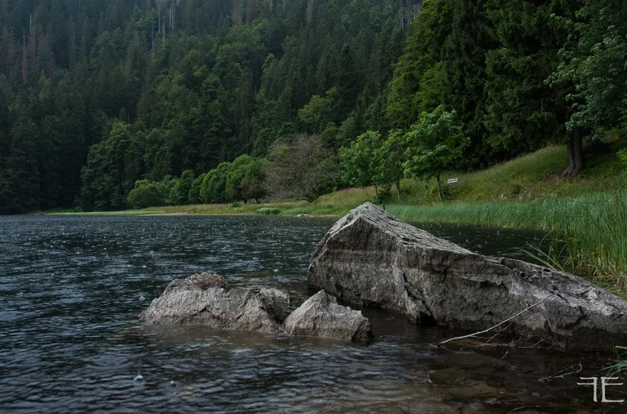 20190712-_IGP6056.webp