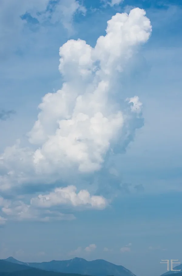 20190726-_IGP6604.webp 20190726-_IGP6604.webp