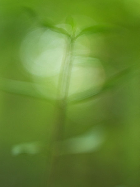 ci_PG9_9877.jpg
