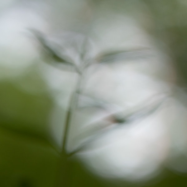 ci_PG9_9878.jpg