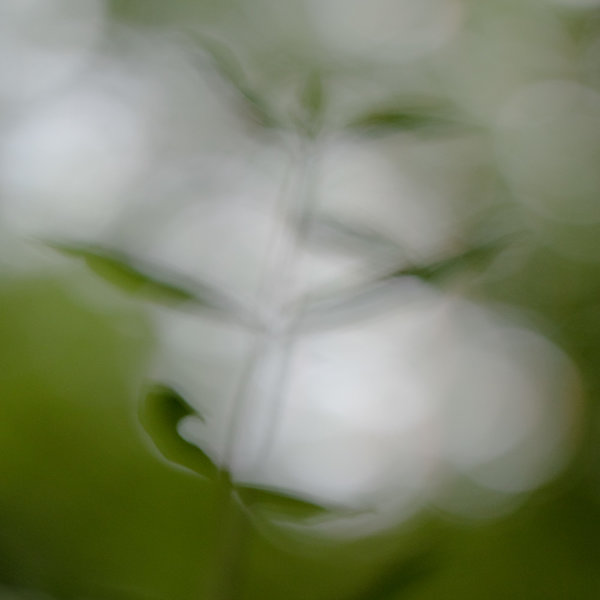 ci_PG9_9879.jpg