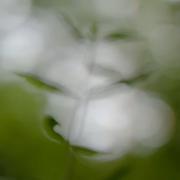 ci_PG9_9879.webp