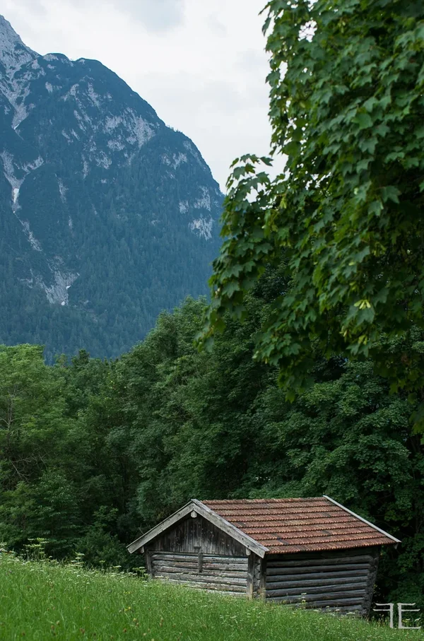 20190726-_IGP6651.webp 20190726-_IGP6651.webp
