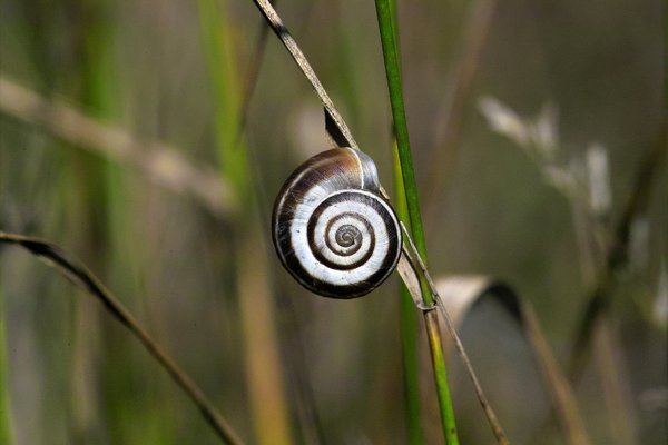 IMG12325-a.jpg IMG12325-a.jpg