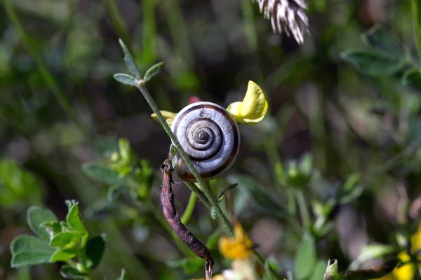 IMG12327-a.jpg IMG12327-a.jpg