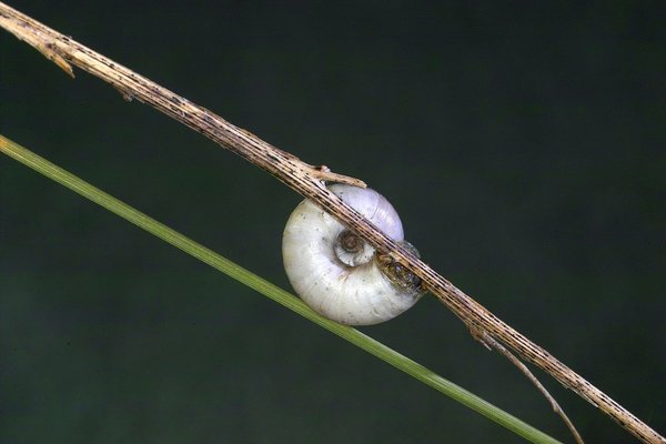 IMG12243-a.jpg IMG12243-a.jpg