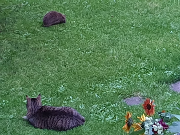 20190808_204807 Kopie.jpg