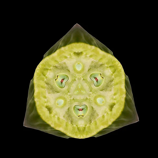 LotusAugenGROSSHGGrauCL90280FINFANTASSECRETOBSERVERQUADRATMIKOHELL.webp